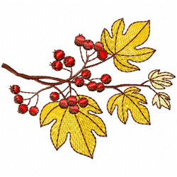 Berries Embroidery Design 10